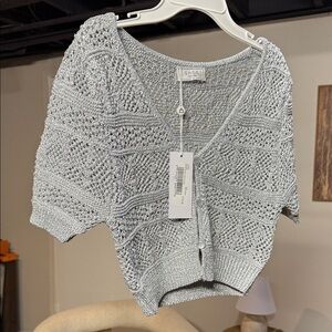 Sage Silver V-Neck Women's Sweater